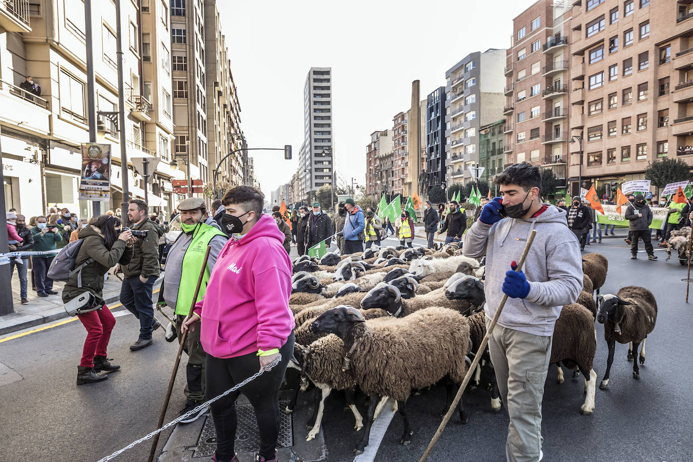 Fotos: El campo riojano se manifiesta en Logroño