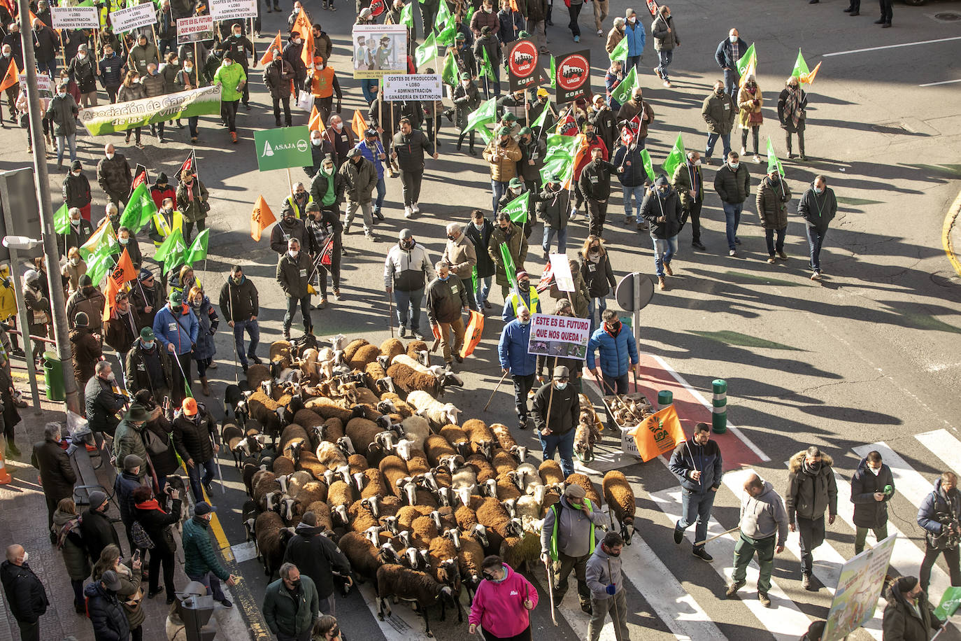 Fotos: El campo riojano se manifiesta en Logroño