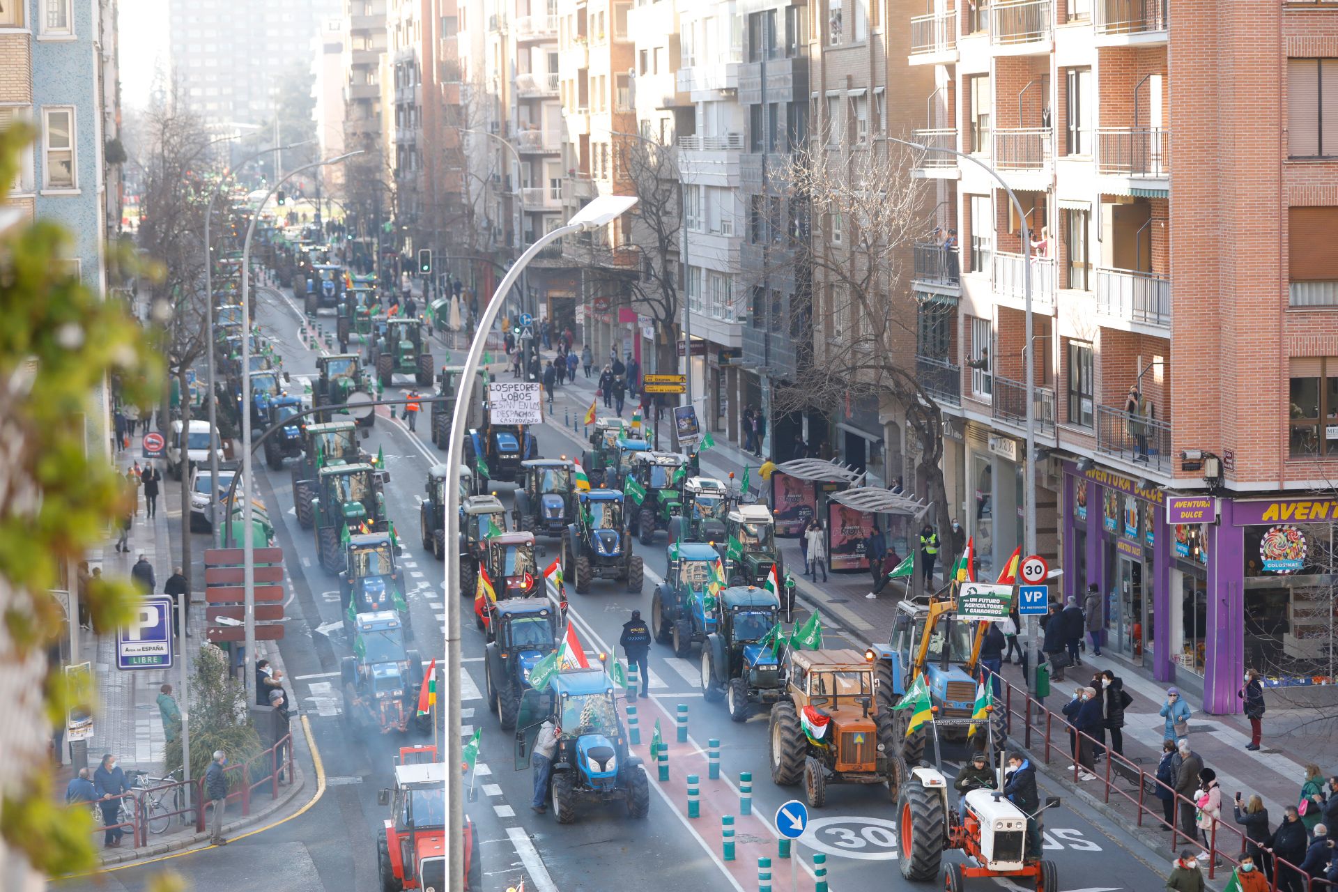 Fotos: La manifestación, a su paso por el centro de Logroño