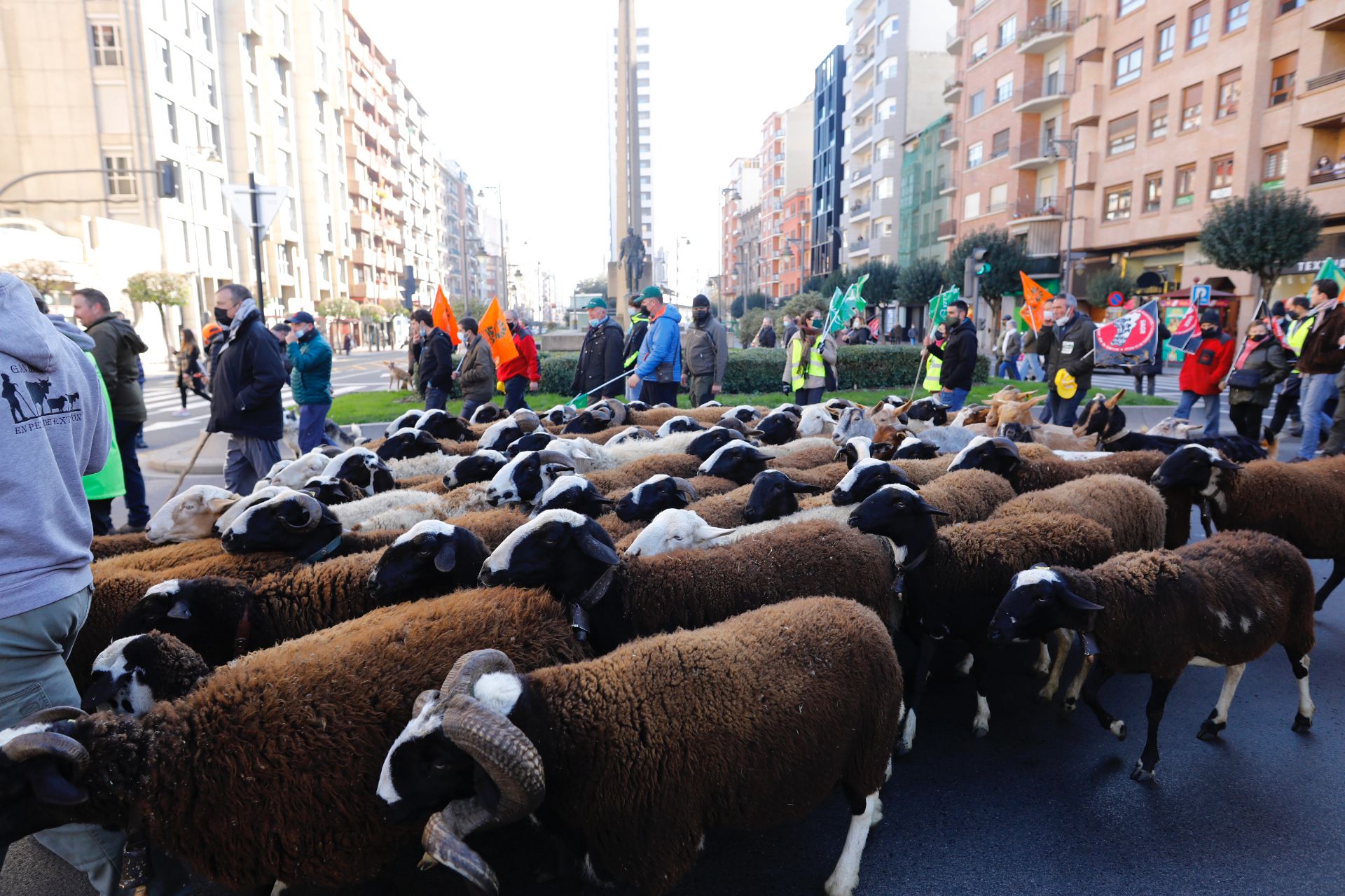 Fotos: La manifestación, a su paso por el centro de Logroño