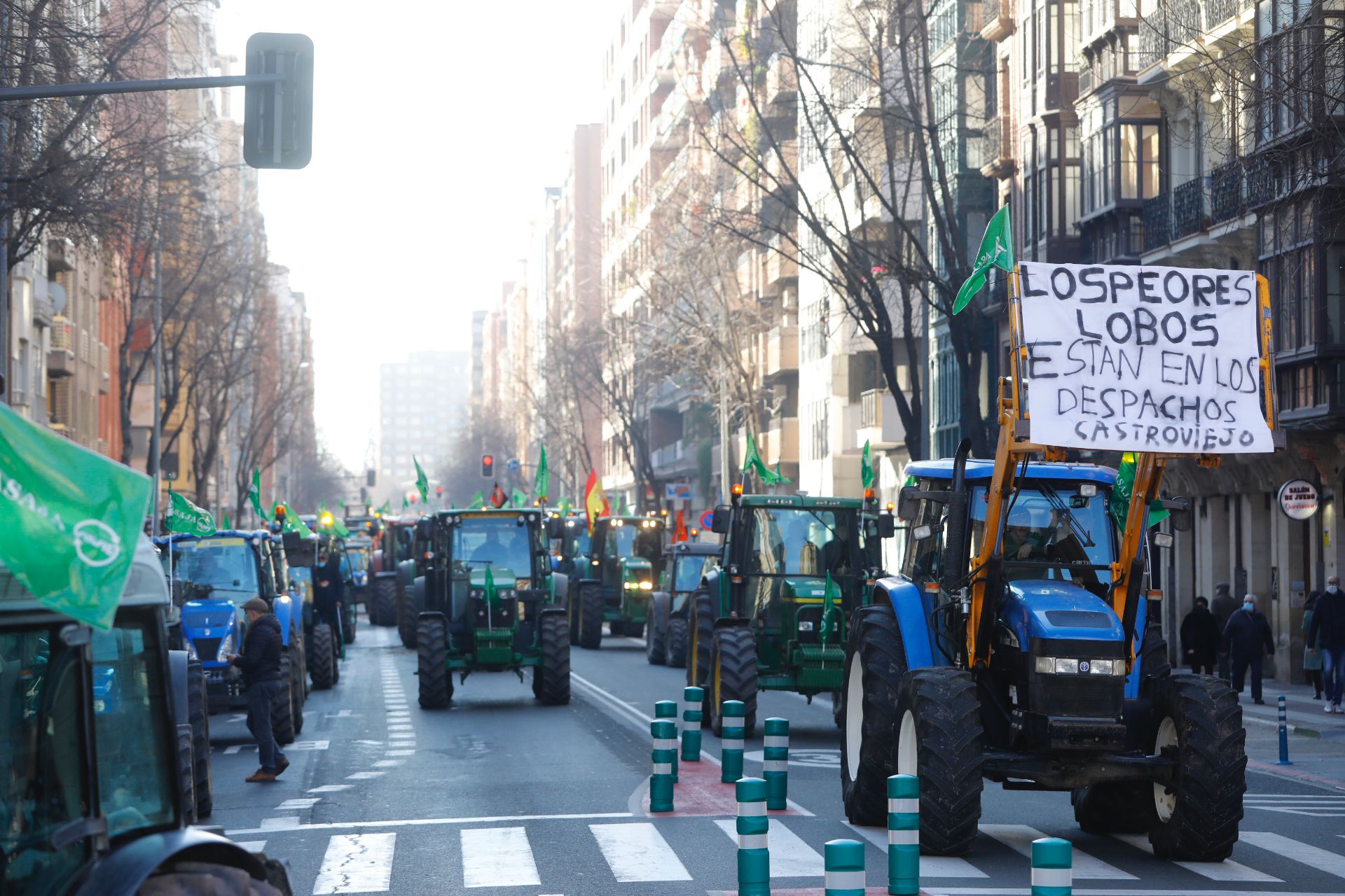 Fotos: La manifestación, a su paso por el centro de Logroño