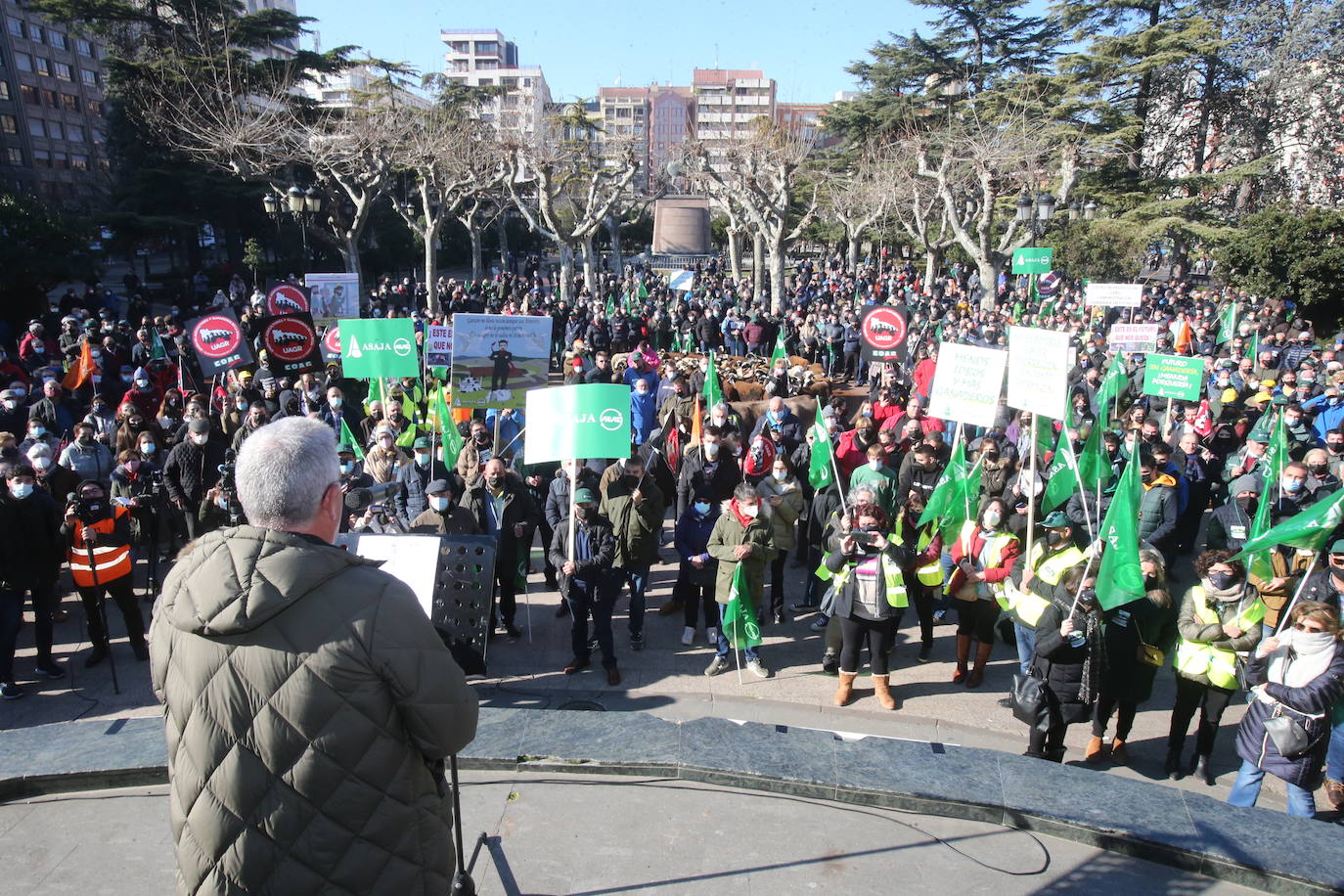 Fotos: La manifestación, a su paso por el centro de Logroño