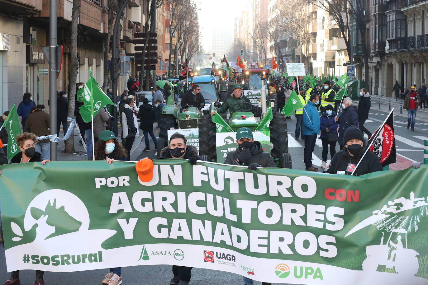 Fotos: La manifestación, a su paso por el centro de Logroño