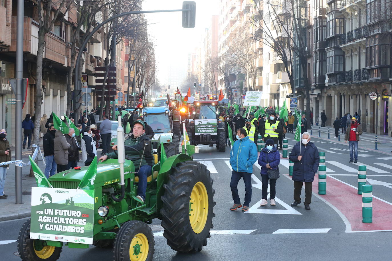 Fotos: La manifestación, a su paso por el centro de Logroño