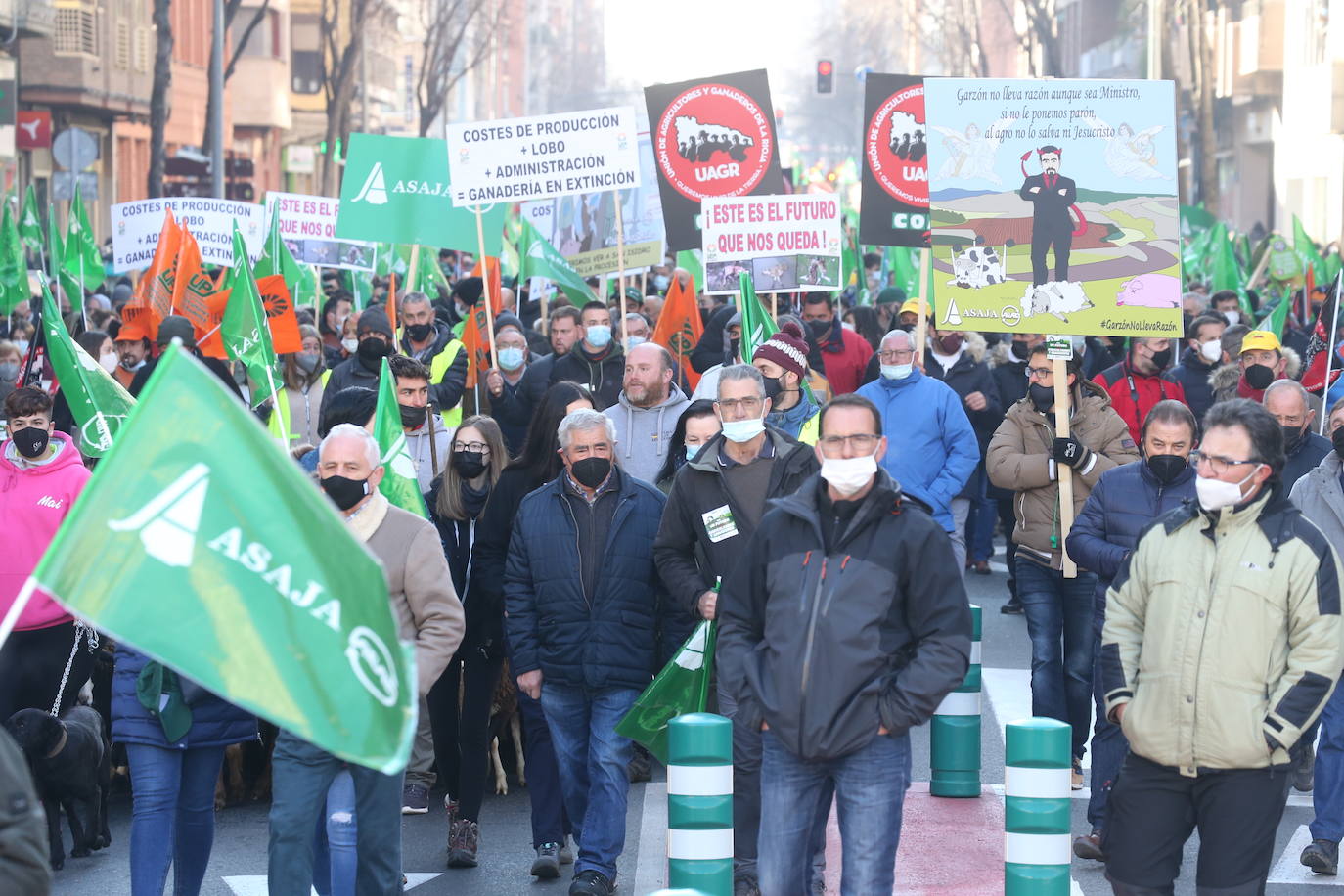 Fotos: La manifestación, a su paso por el centro de Logroño