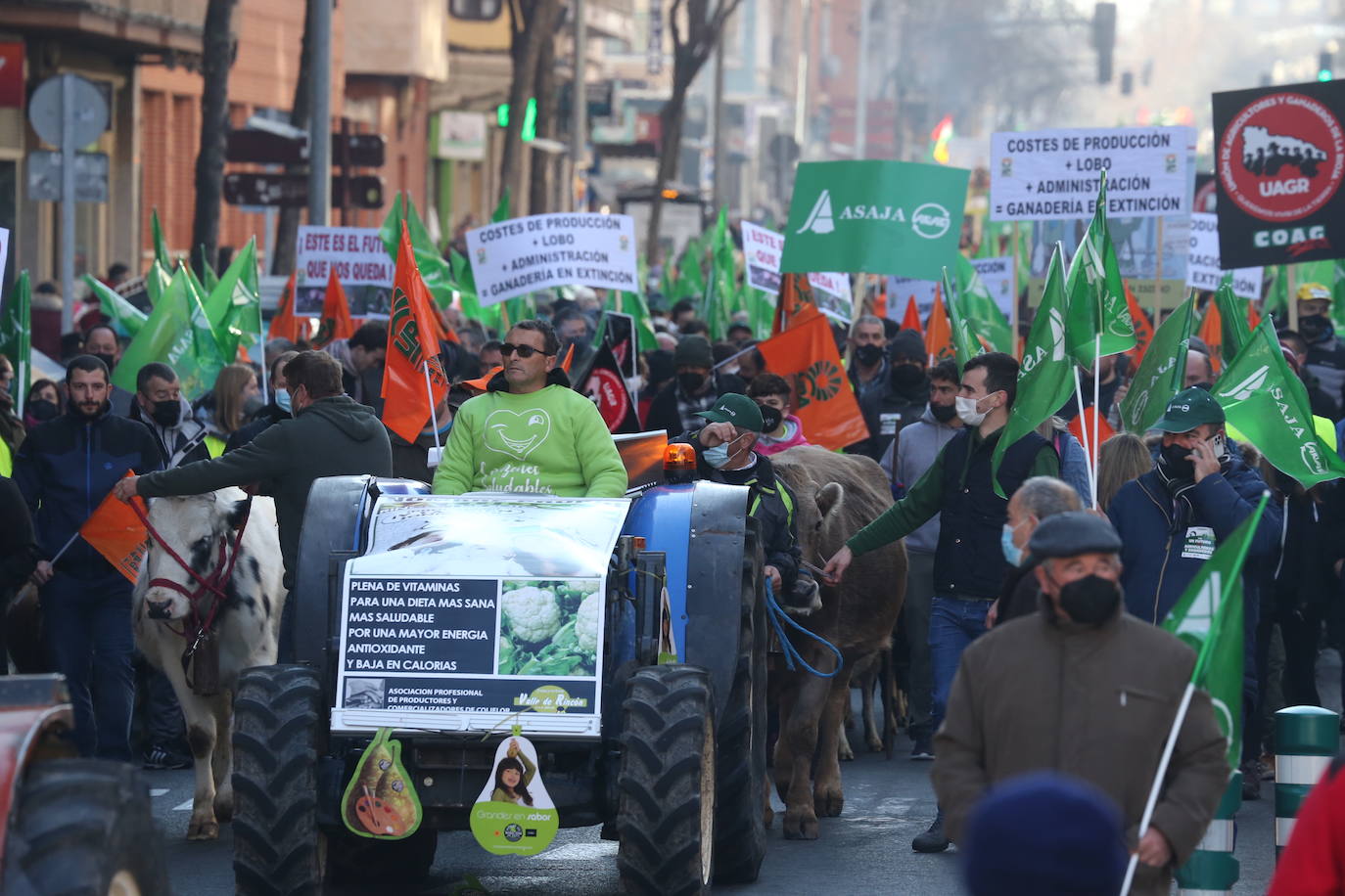 Fotos: La manifestación, a su paso por el centro de Logroño