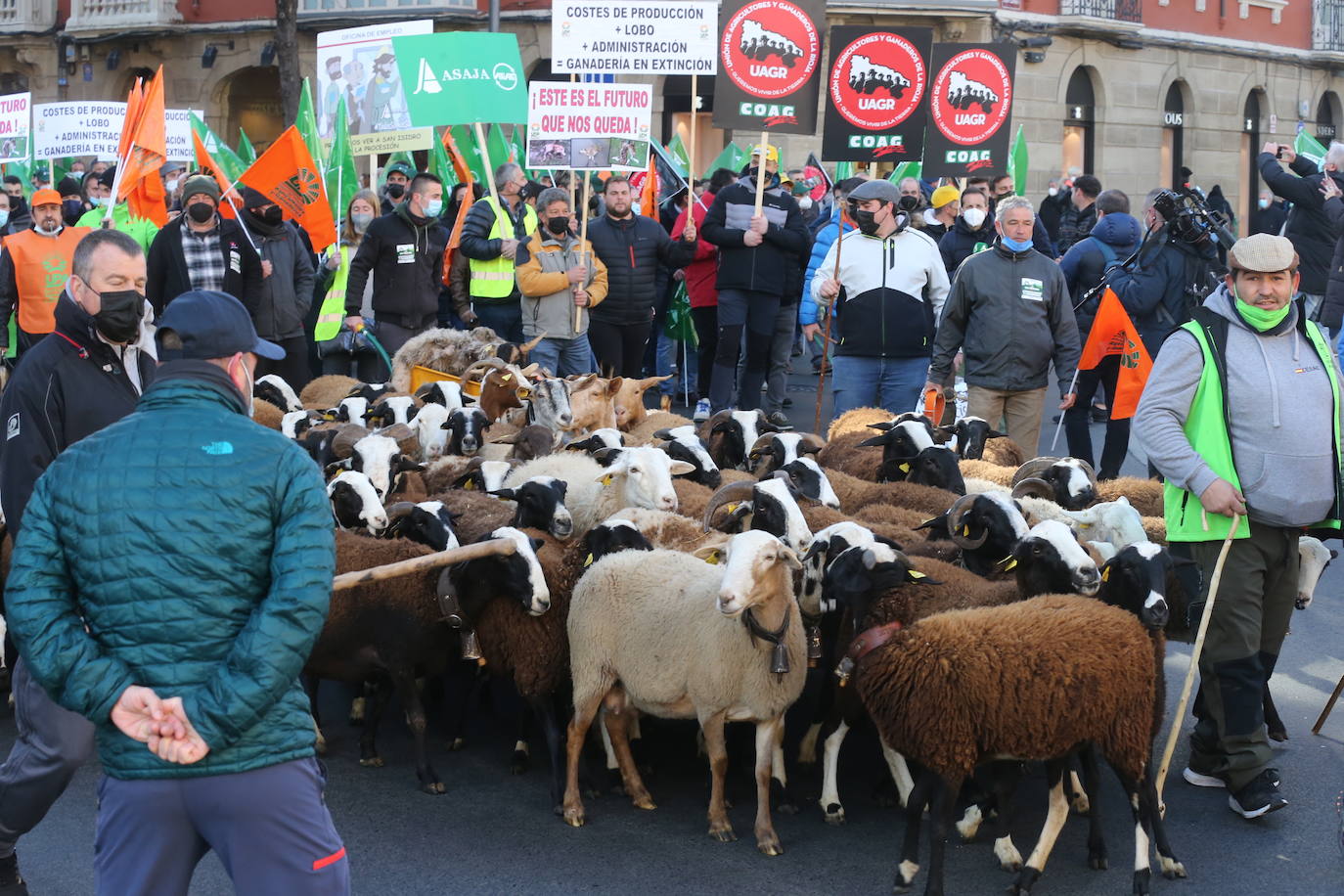 Fotos: La manifestación, a su paso por el centro de Logroño