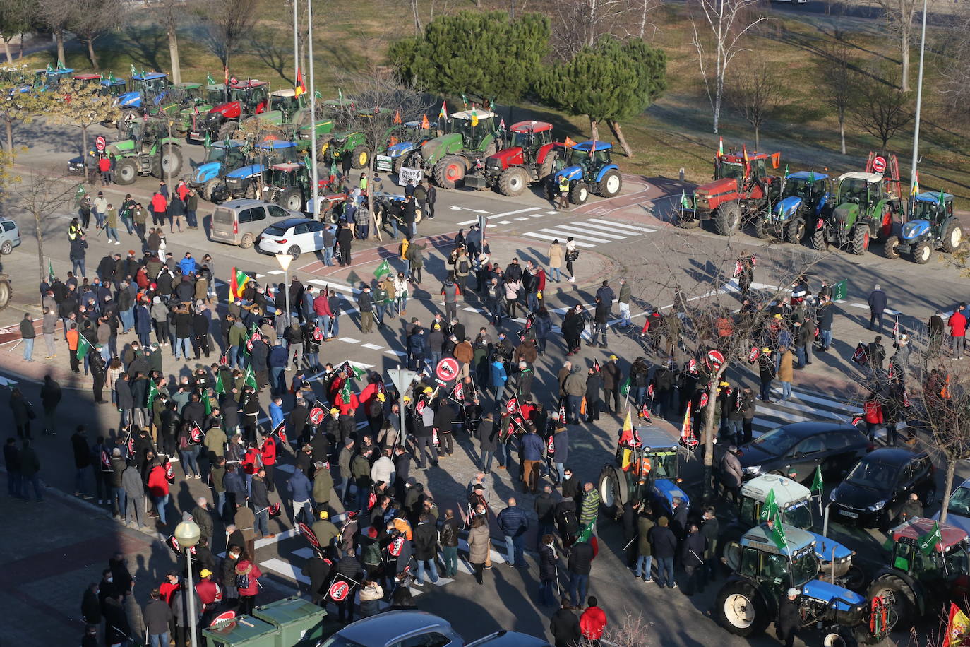 Fotos: La manifestación, a su paso por el centro de Logroño