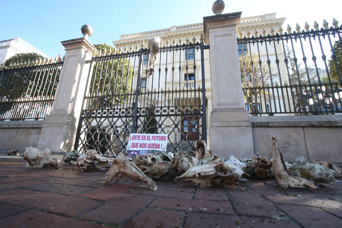 Fotos: La manifestación, a su paso por el centro de Logroño