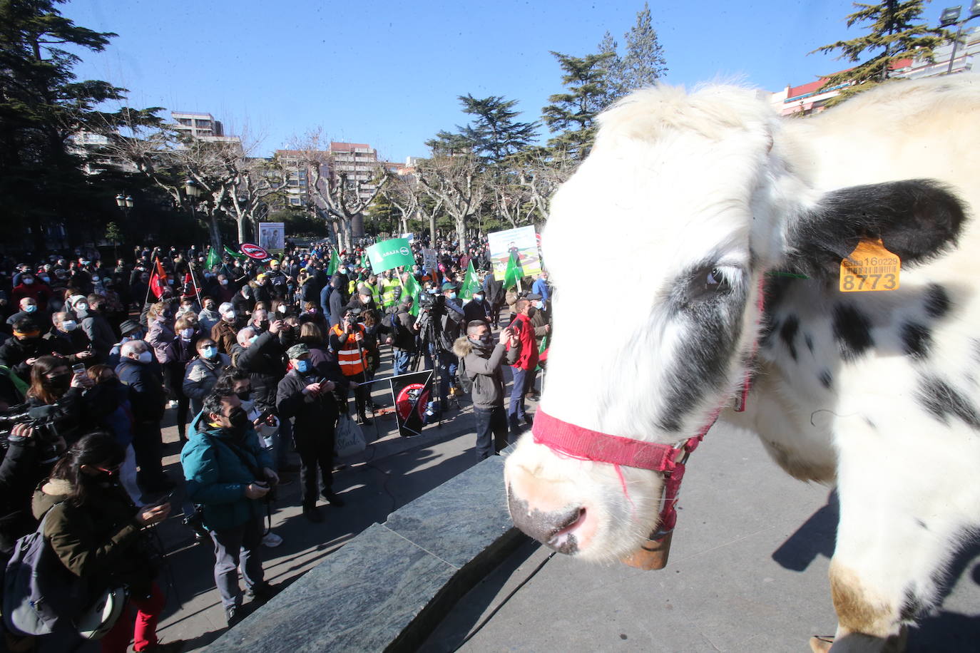 Fotos: La manifestación, a su paso por el centro de Logroño