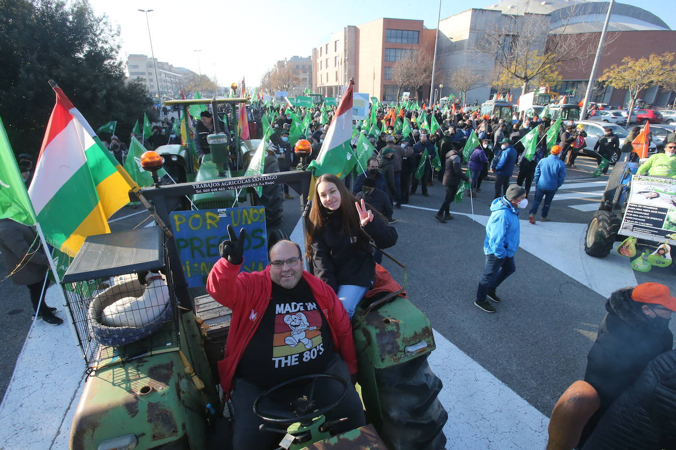 Fotos: La manifestación, a su paso por el centro de Logroño