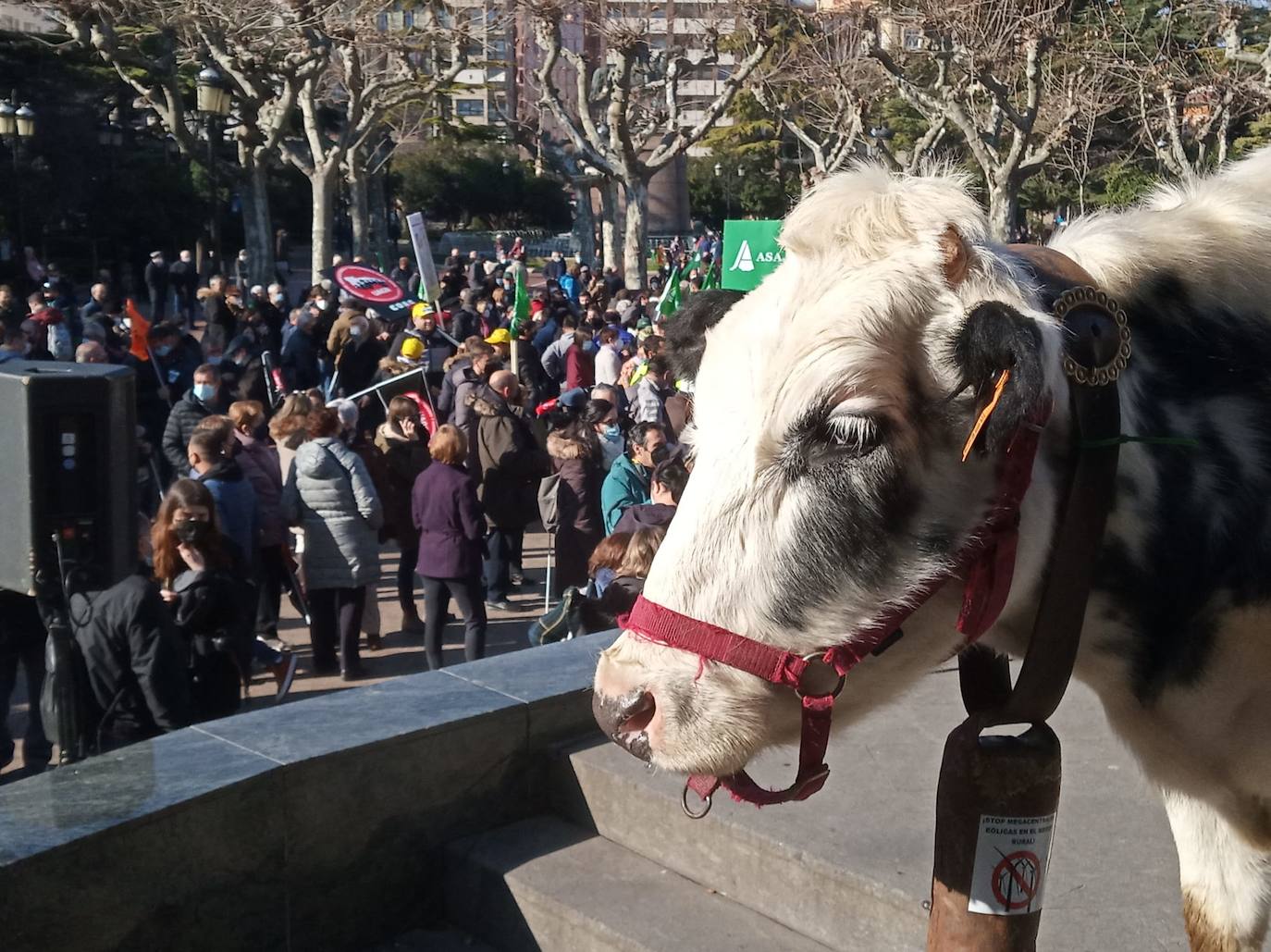 Fotos: Así ha sido la salida de la manifestación del campo