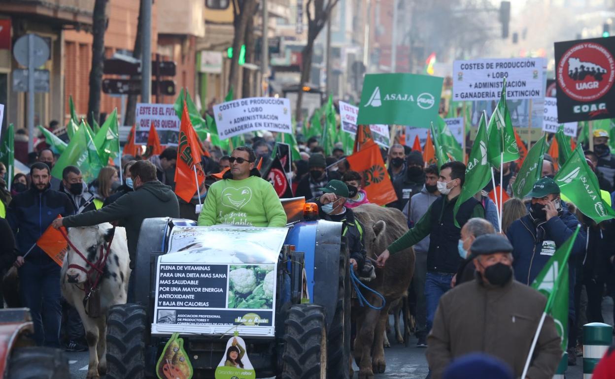 La parte peatonal de la marcha enfila Vara de Rey.