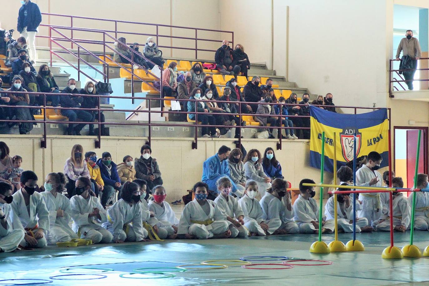 Fotos: Exhibición solidaria de judo en Lardero