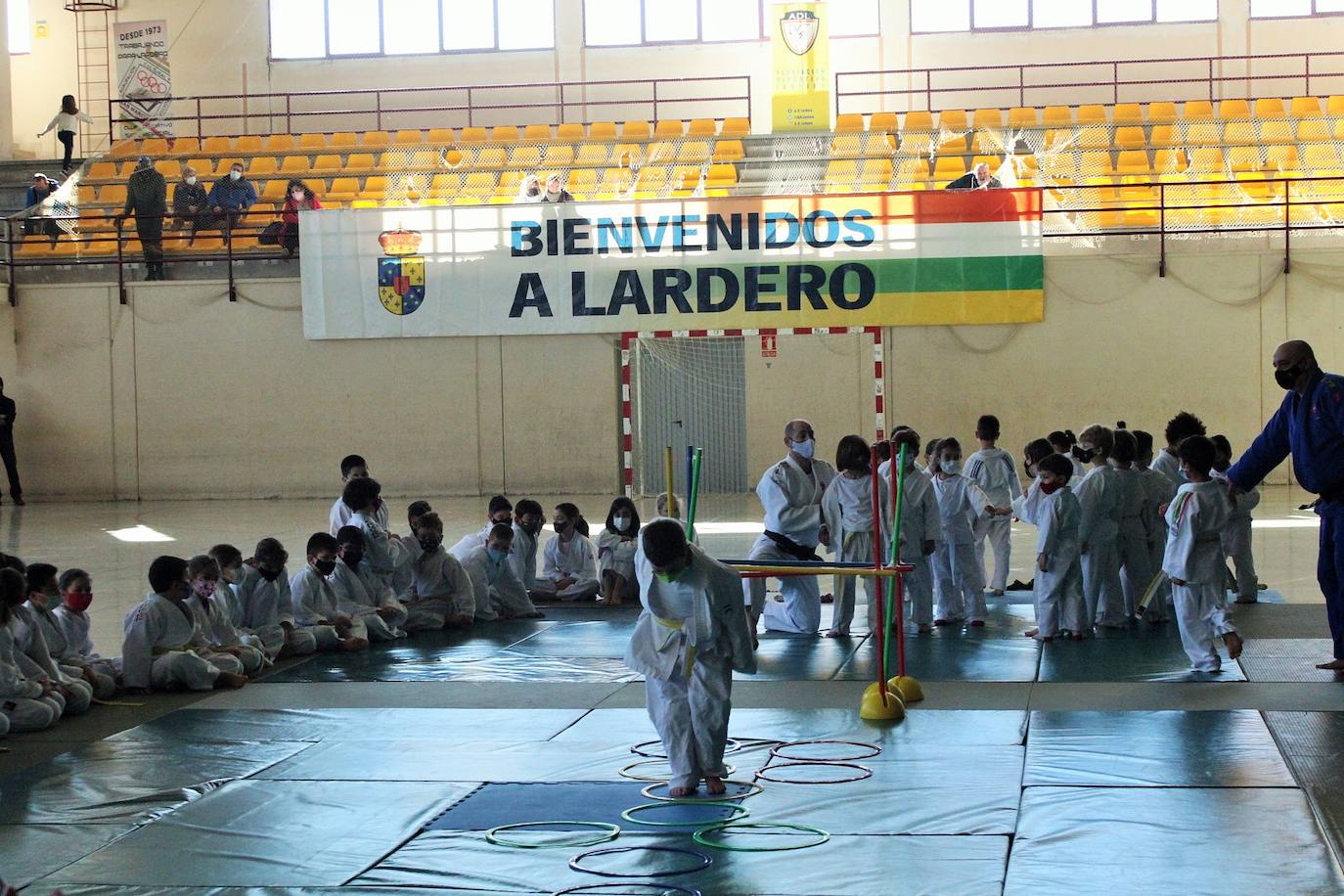 Fotos: Exhibición solidaria de judo en Lardero