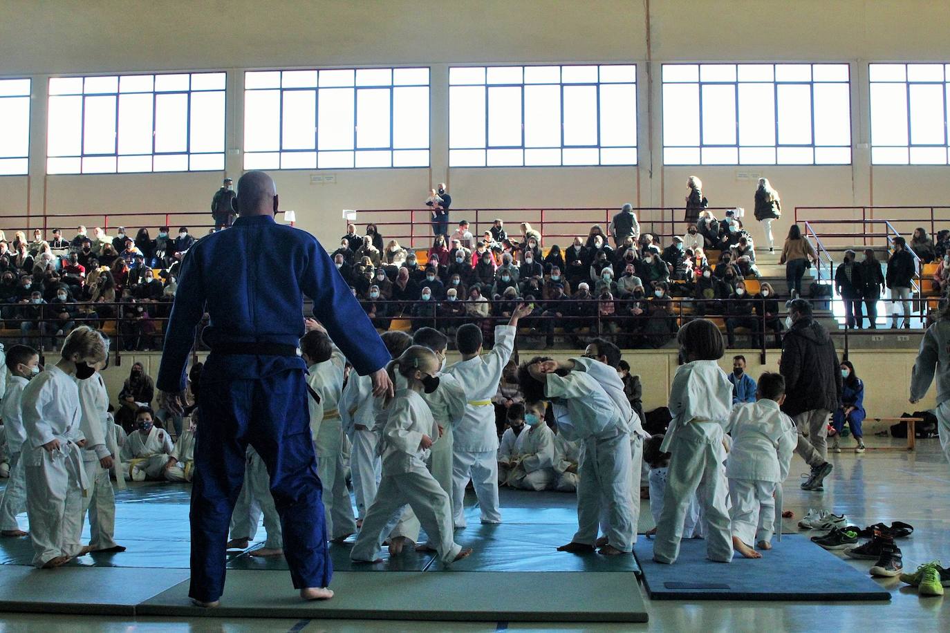 Fotos: Exhibición solidaria de judo en Lardero