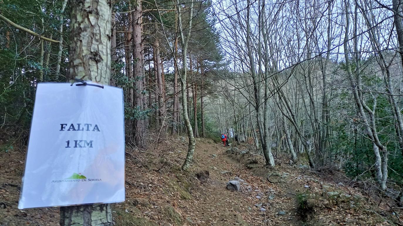 Fotos: Senderismo entre barrancos, pinos, robles y hayas