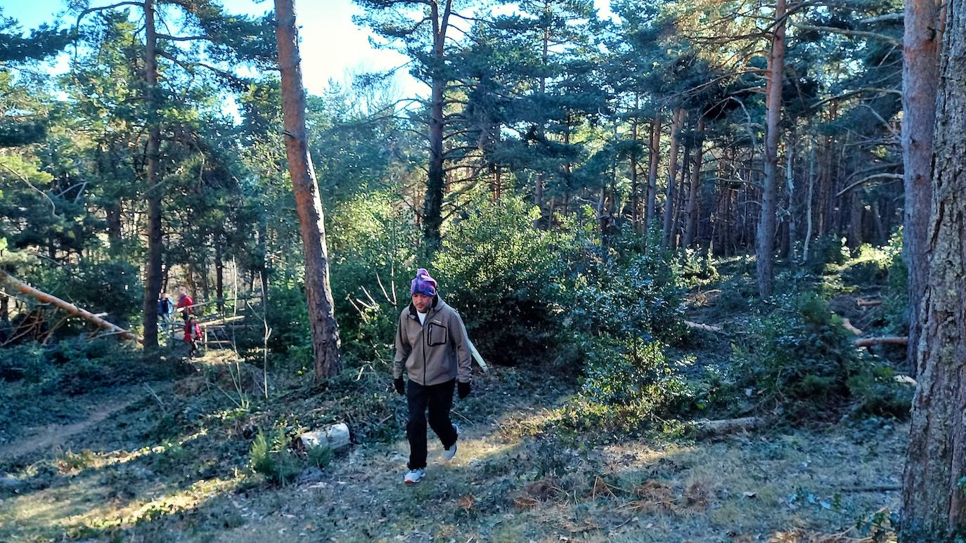 Fotos: Senderismo entre barrancos, pinos, robles y hayas