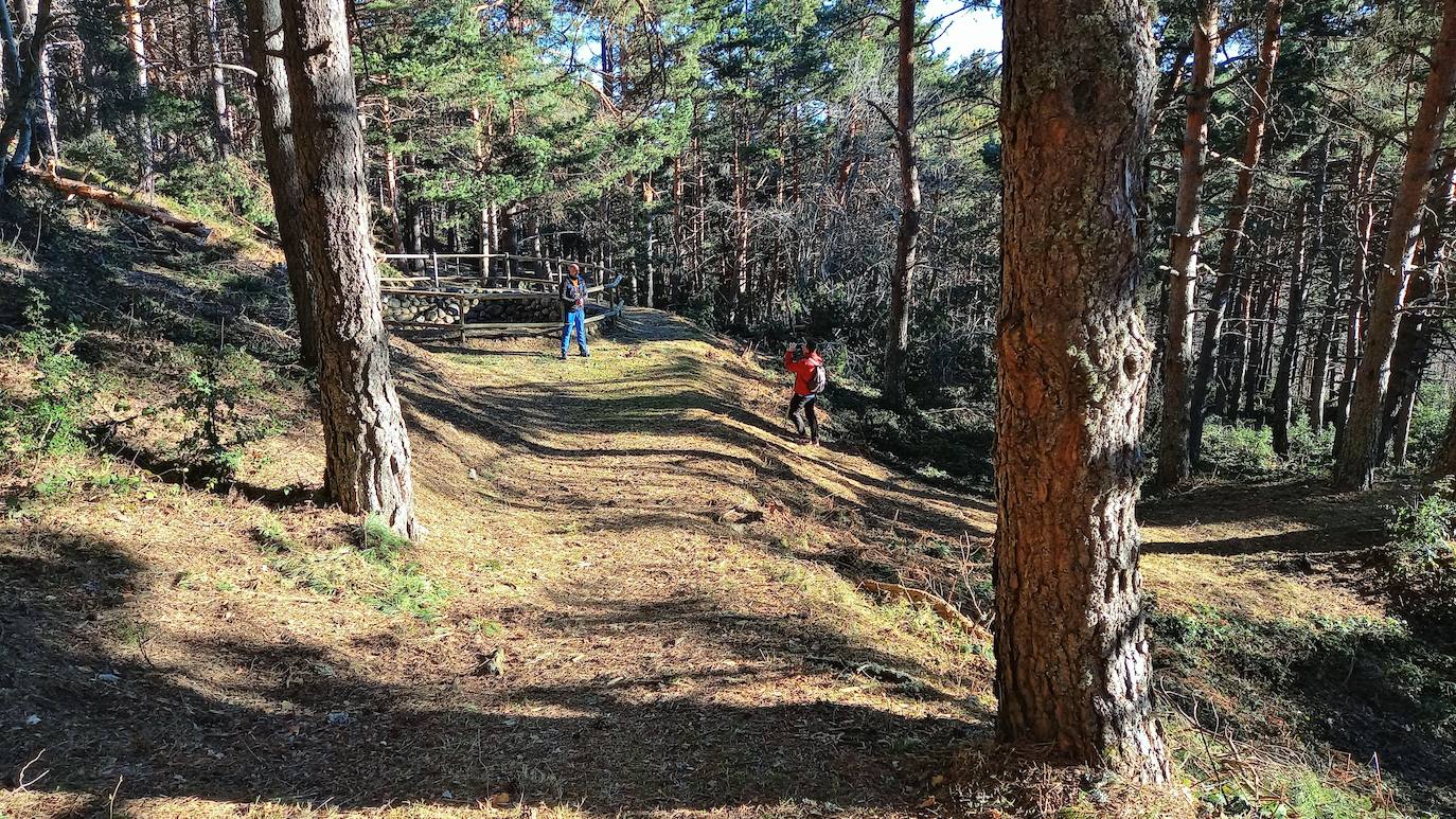 Fotos: Senderismo entre barrancos, pinos, robles y hayas