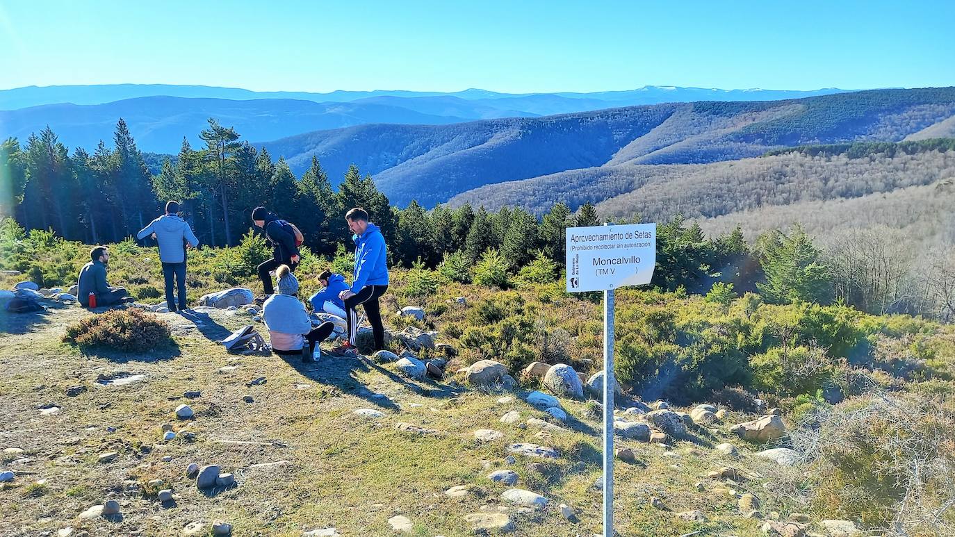 Fotos: Senderismo entre barrancos, pinos, robles y hayas