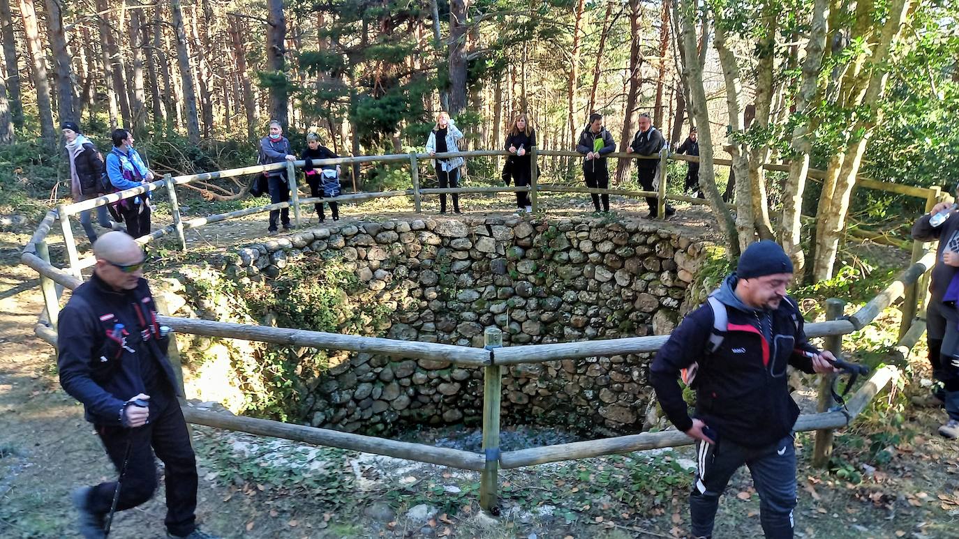 Fotos: Senderismo entre barrancos, pinos, robles y hayas