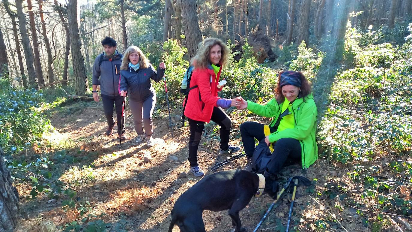 Fotos: Senderismo entre barrancos, pinos, robles y hayas
