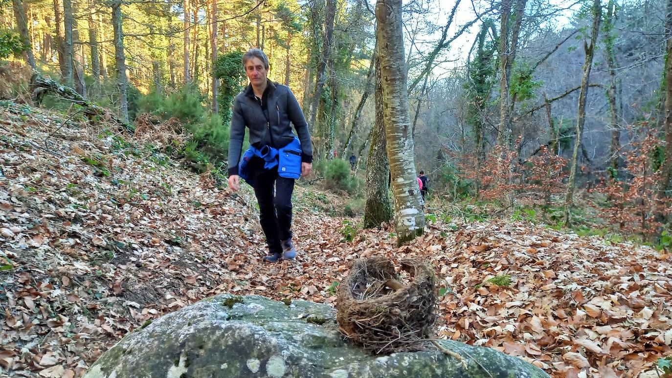 Fotos: Senderismo entre barrancos, pinos, robles y hayas