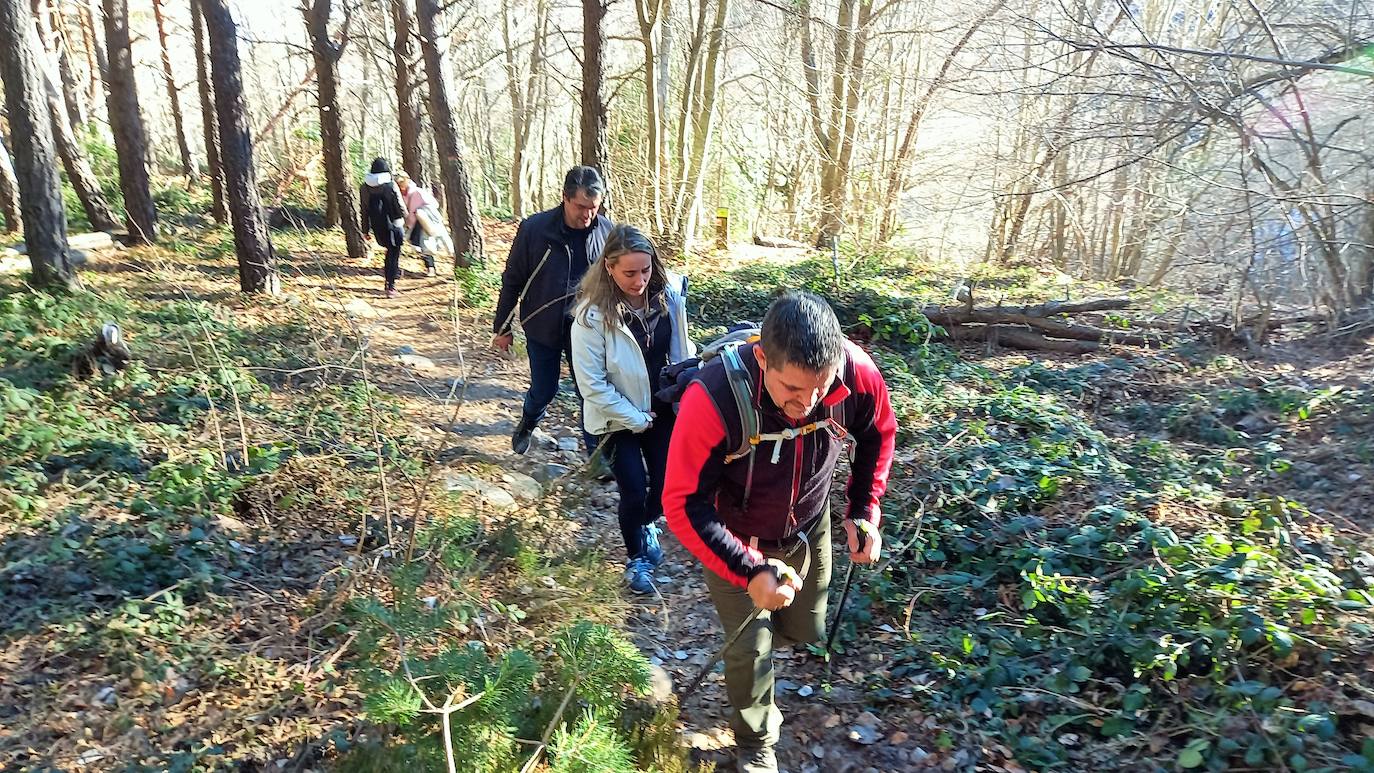 Fotos: Senderismo entre barrancos, pinos, robles y hayas