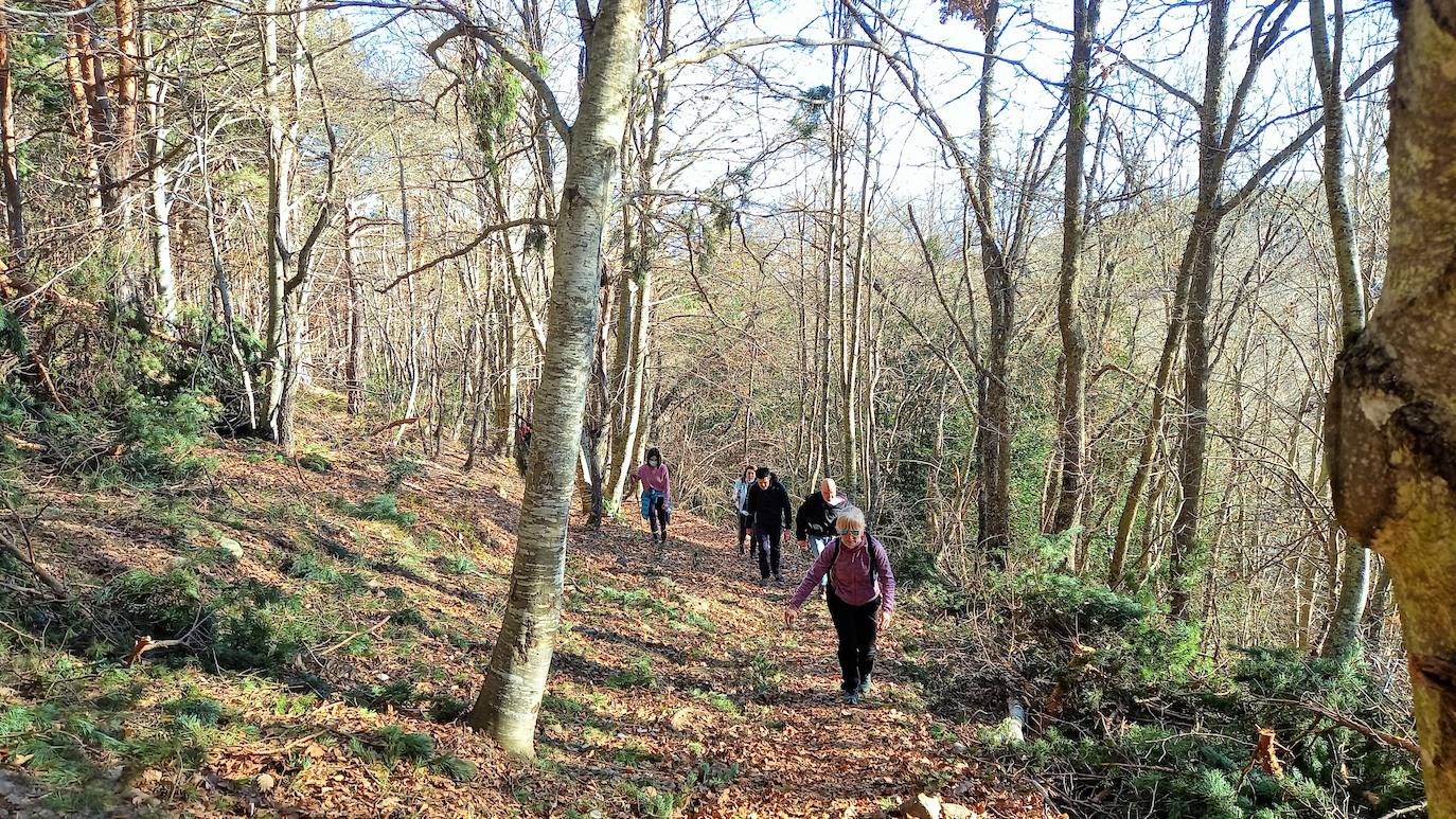 Fotos: Senderismo entre barrancos, pinos, robles y hayas