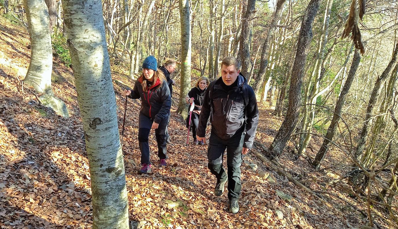 Fotos: Senderismo entre barrancos, pinos, robles y hayas