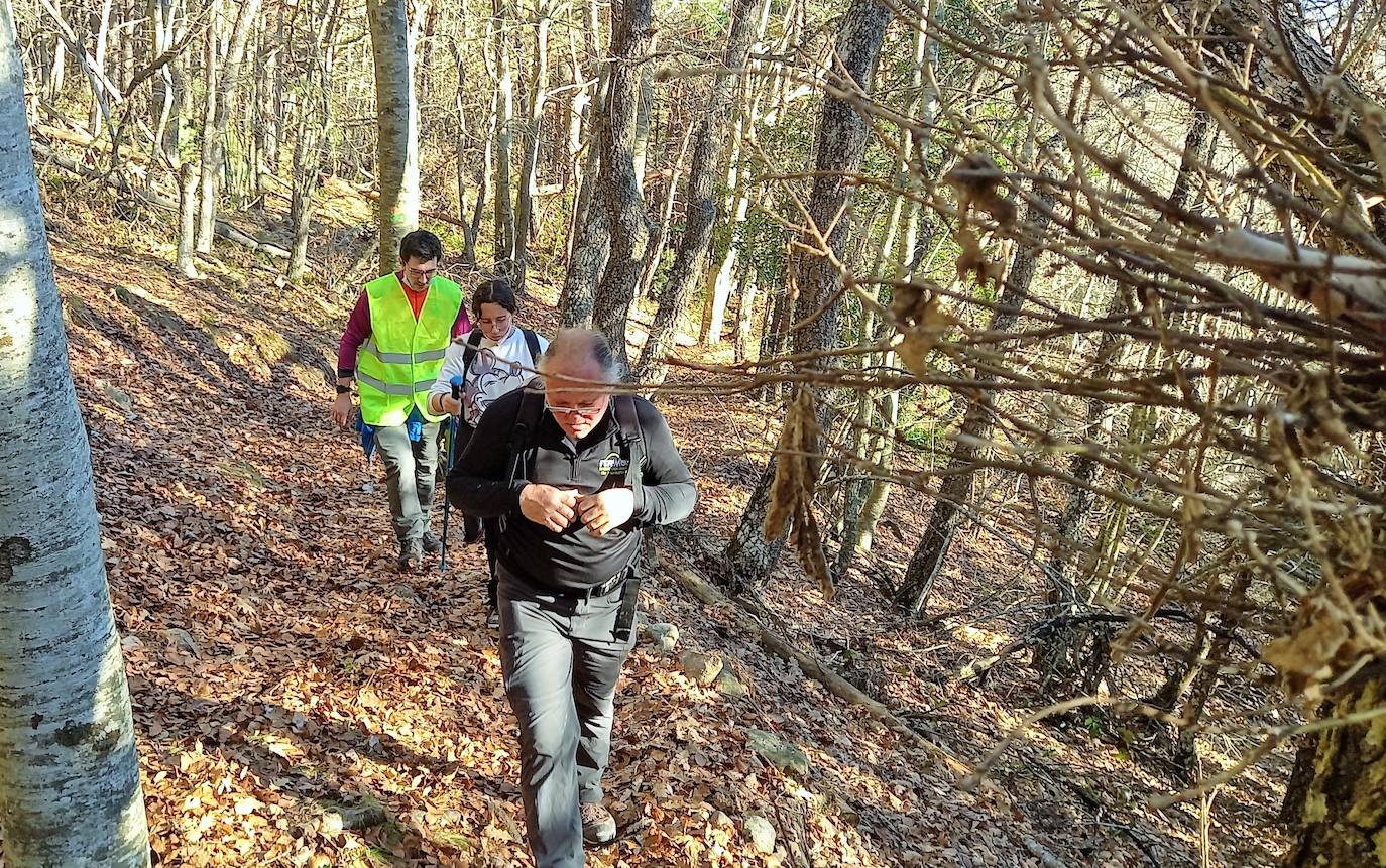 Fotos: Senderismo entre barrancos, pinos, robles y hayas
