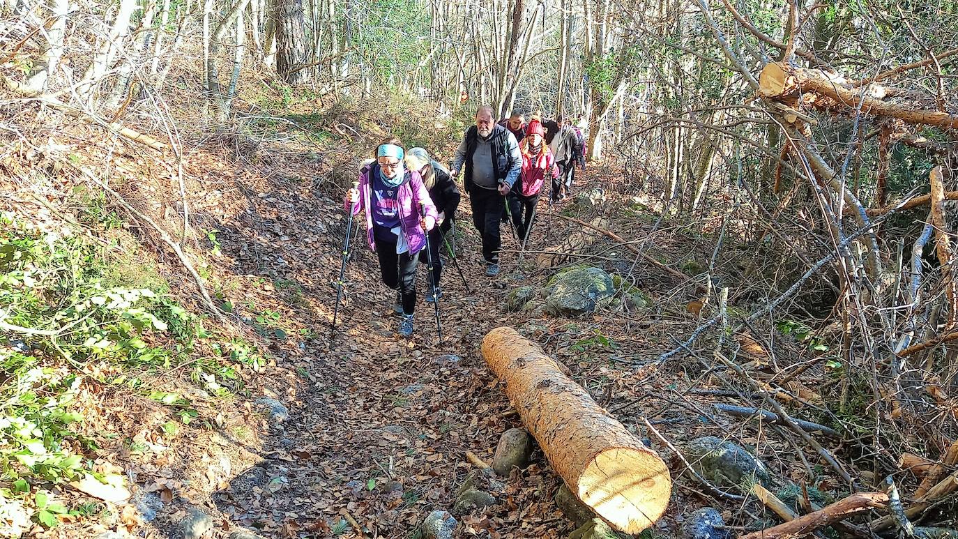Fotos: Senderismo entre barrancos, pinos, robles y hayas
