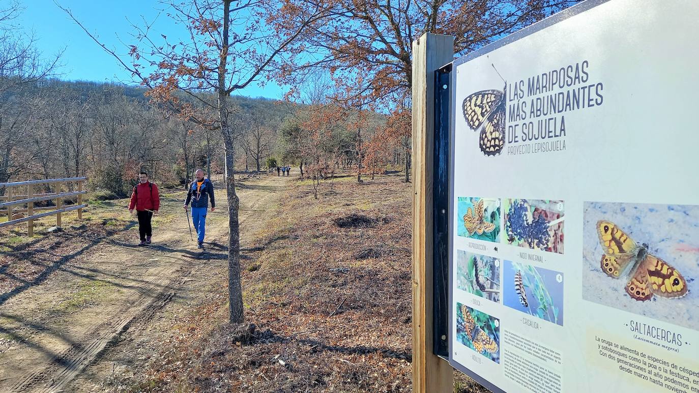 Fotos: Senderismo entre barrancos, pinos, robles y hayas