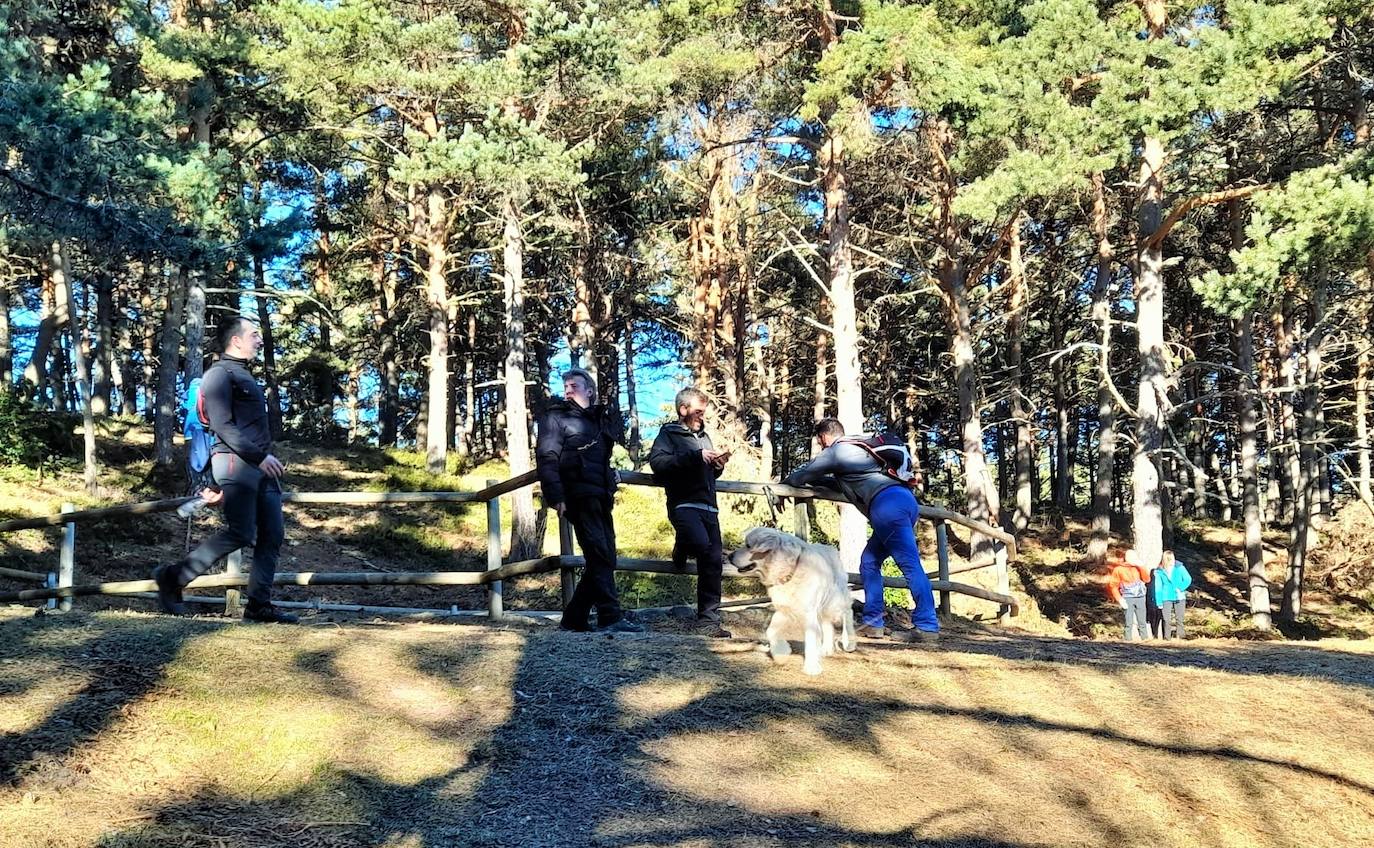 Fotos: Senderismo entre barrancos, pinos, robles y hayas