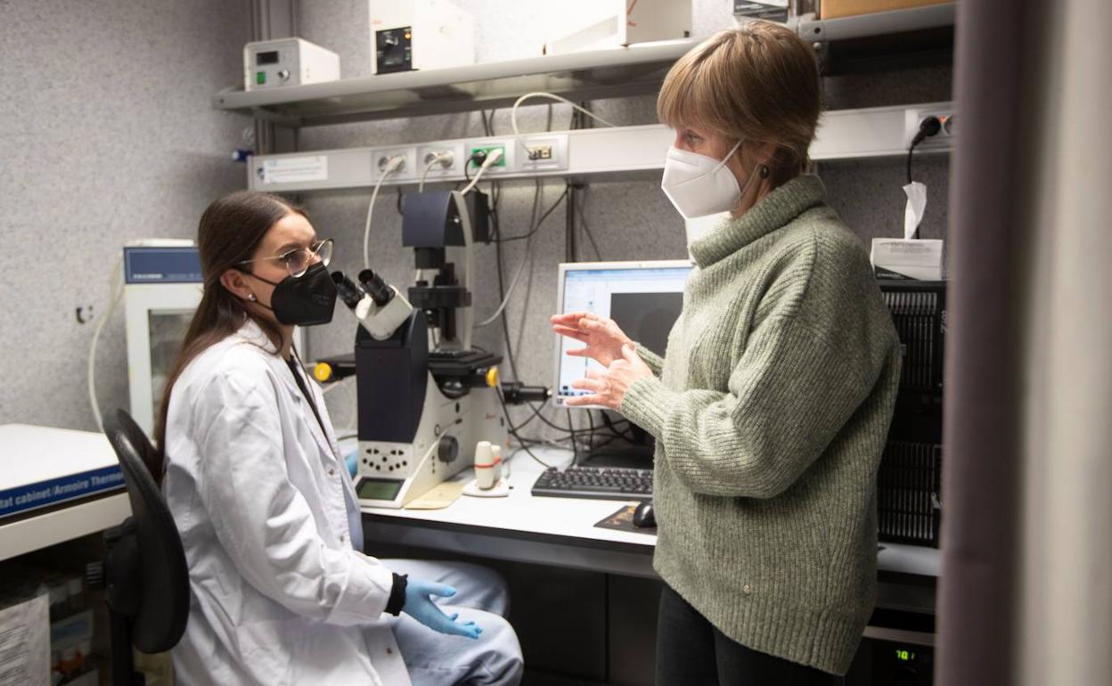 Descubren cómo funciona la primera línea de defensa contra el cáncer de piel