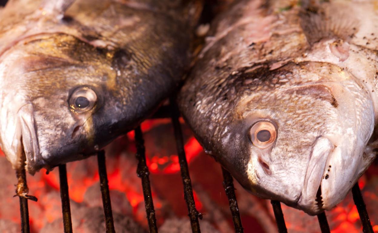 Doradas asándose a la brasa en la parrilla de un restaurante. 