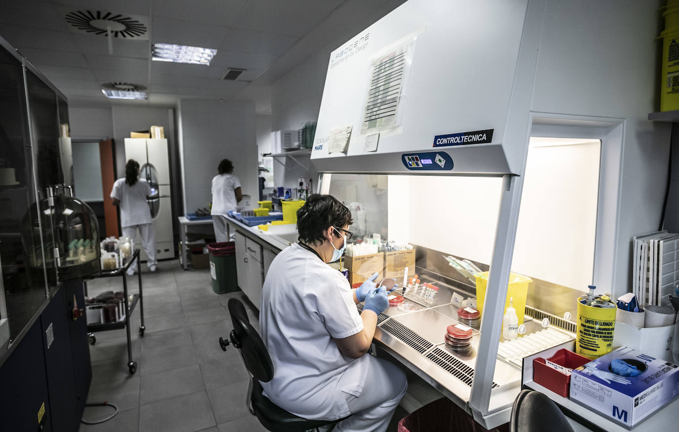 Fotos: Dentro del laboratorio de Microbiología del Hospital San Pedro