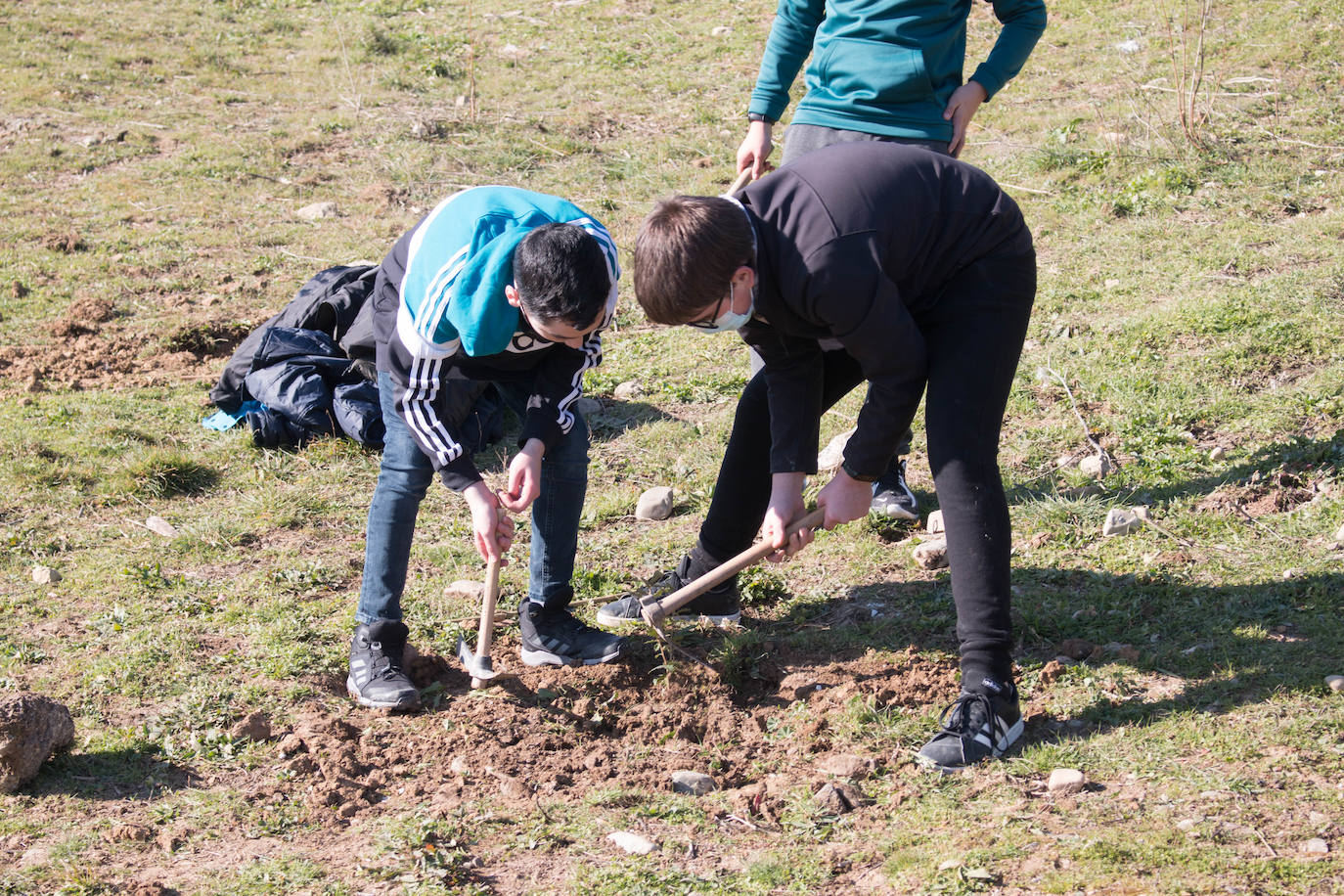 Fotos: Los alumnos del IES Ciudad de Haro plantan árboles en el cerro de Santa Lucía