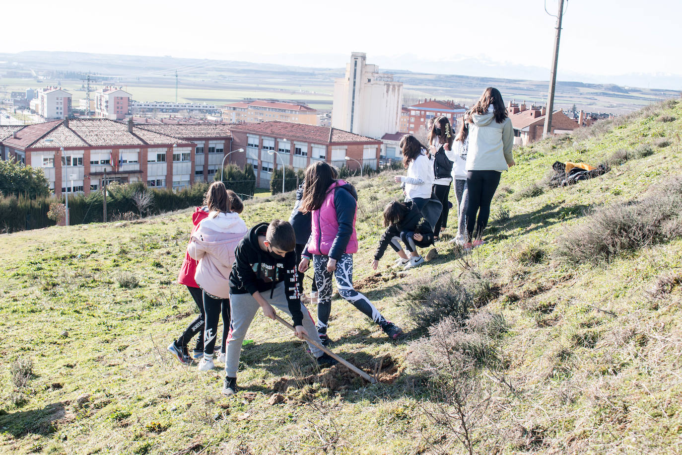 Fotos: Los alumnos del IES Ciudad de Haro plantan árboles en el cerro de Santa Lucía