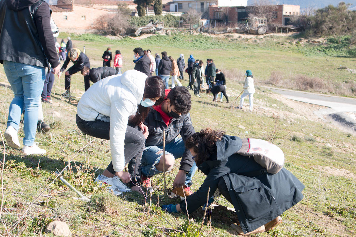 Fotos: Los alumnos del IES Ciudad de Haro plantan árboles en el cerro de Santa Lucía