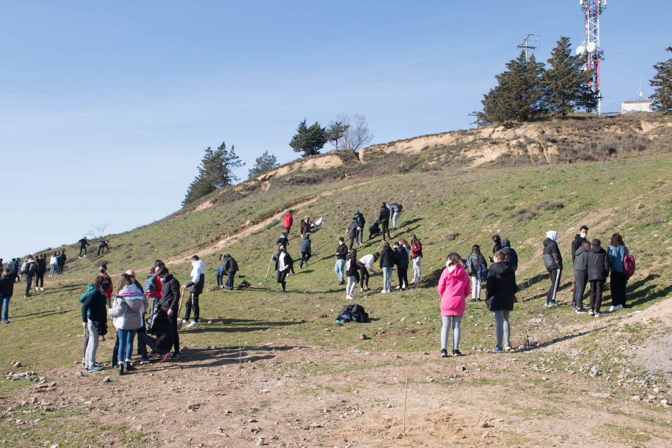 Fotos: Los alumnos del IES Ciudad de Haro plantan árboles en el cerro de Santa Lucía