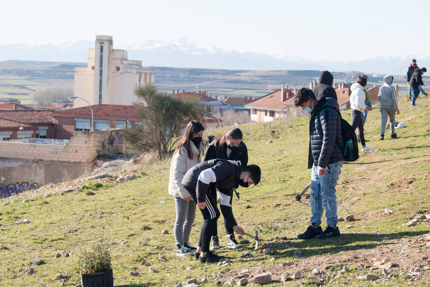 Fotos: Los alumnos del IES Ciudad de Haro plantan árboles en el cerro de Santa Lucía