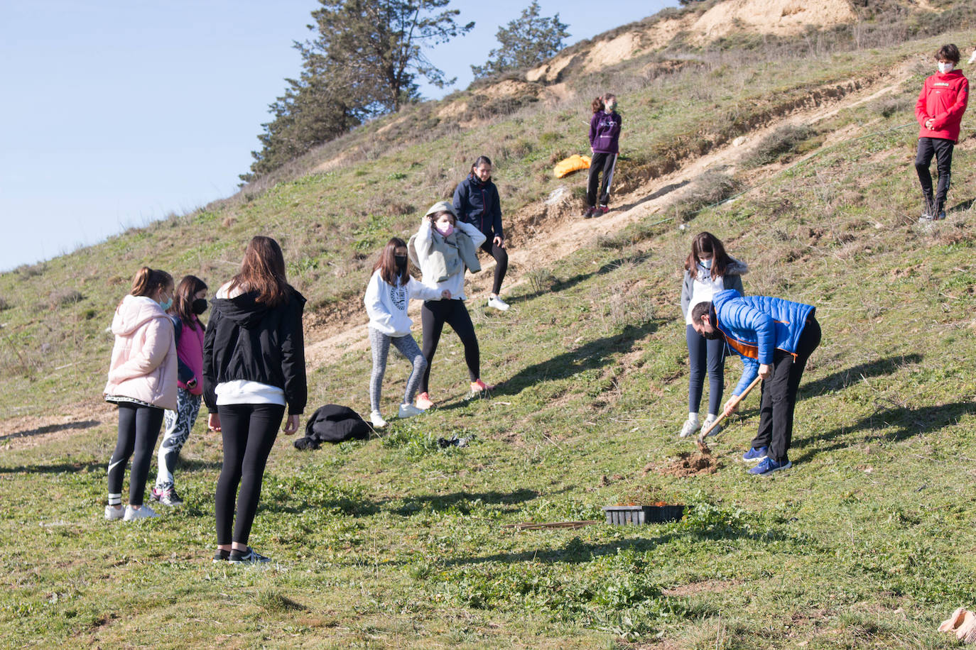 Fotos: Los alumnos del IES Ciudad de Haro plantan árboles en el cerro de Santa Lucía