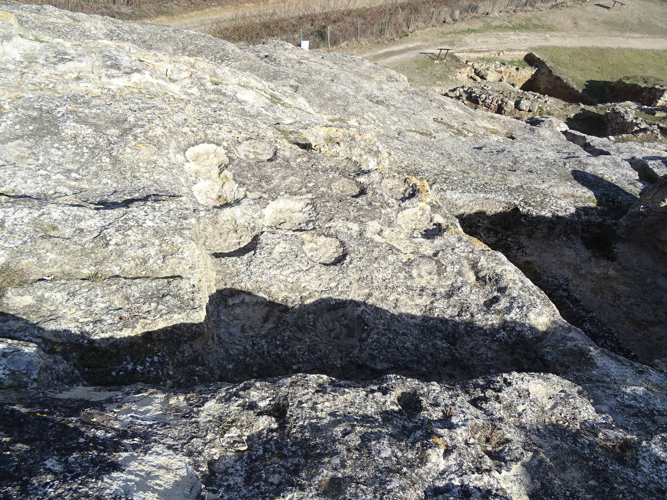 La campaña de mantenimiento del yacimiento arqueológico de Contrebia Leucade ha concluido con importantes novedades como el hallazgo de un lagar en el sector norte. 