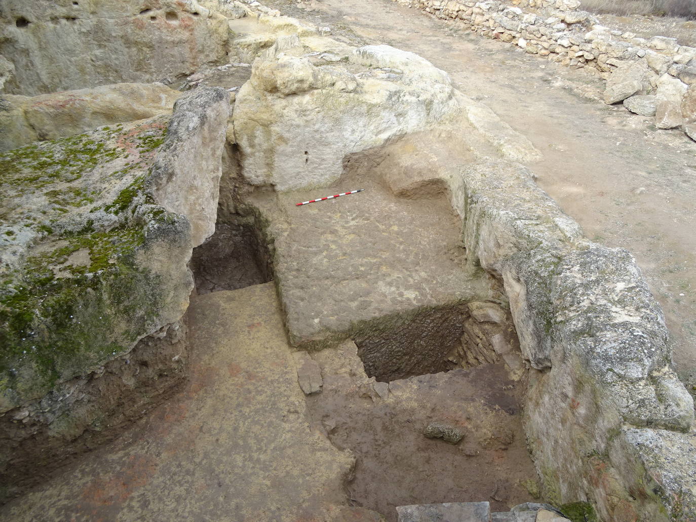 La campaña de mantenimiento del yacimiento arqueológico de Contrebia Leucade ha concluido con importantes novedades como el hallazgo de un lagar en el sector norte. 