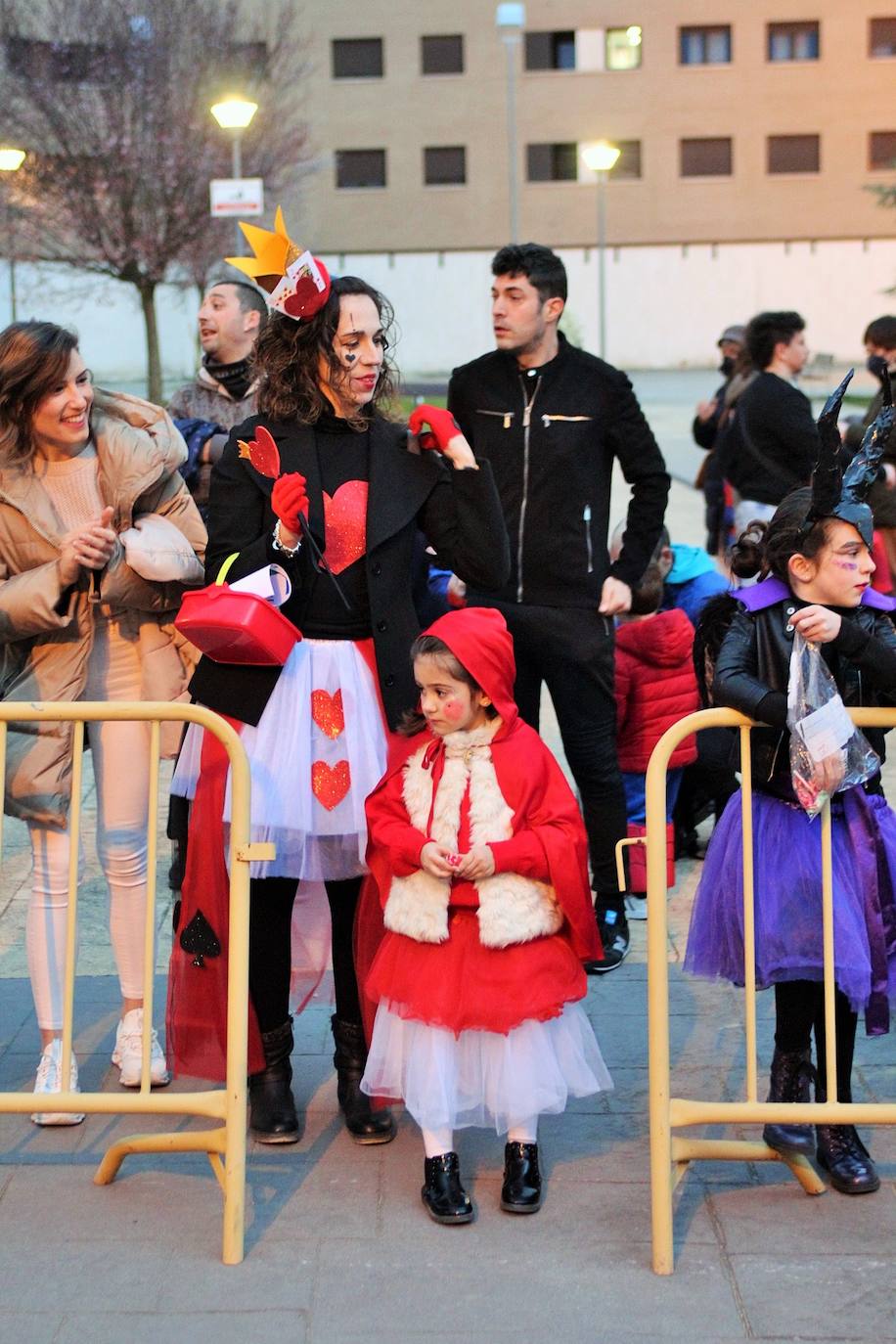 Fotos: Lardero festeja el Carnaval