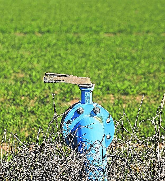 Finca de cereal con su llave de riego, ayer, en Zarrantón 