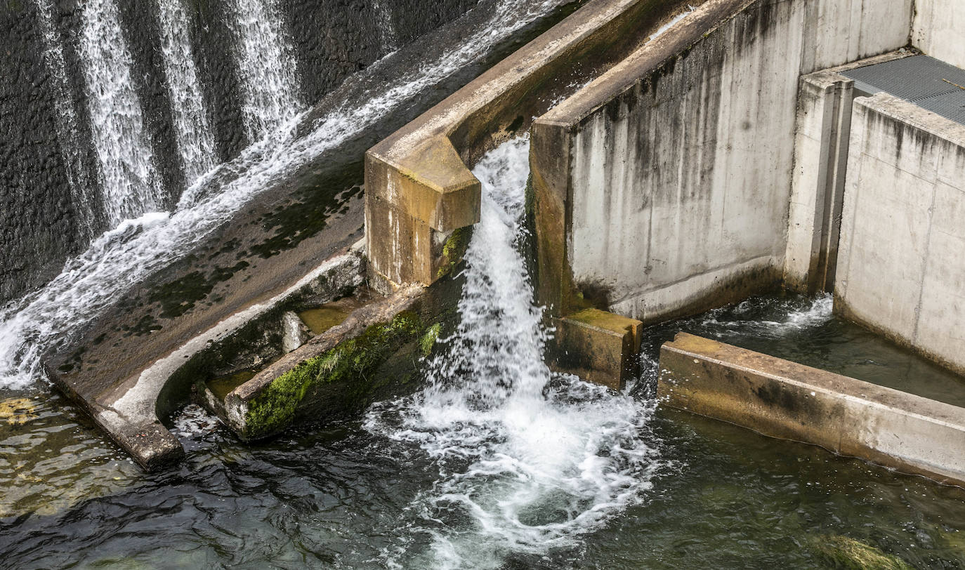 Fotos: Central hidroeléctrica de Anguiano, la energía que nace del agua y del bosque