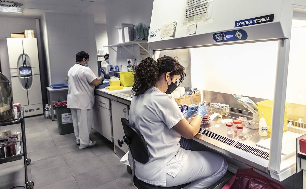 Sanitarios en el laboratorio del hospital San Pedro. 