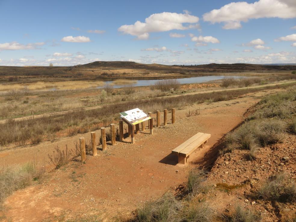 El mayor humedal riojano. El Carrizal de Cofín se convierte en una zona esteparia ideal para aves migratorias.